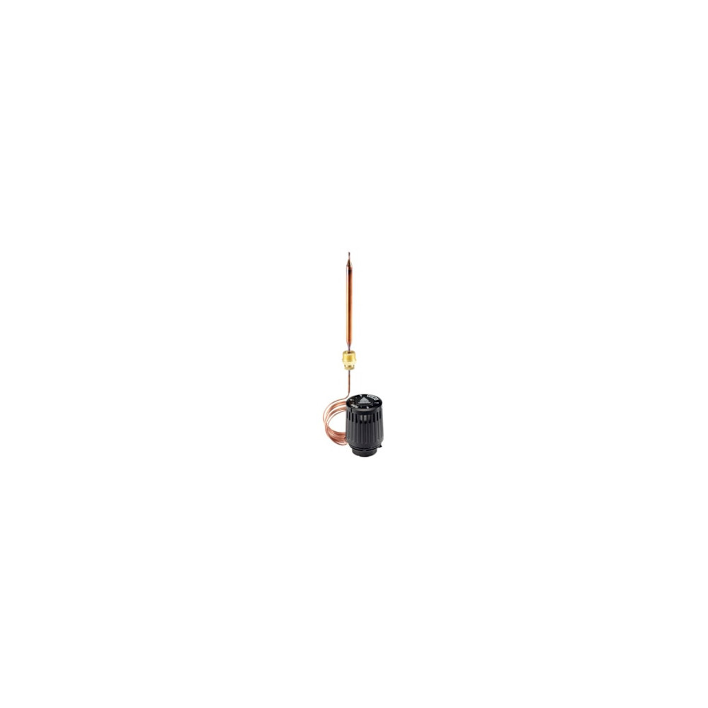 Danfoss Element  termostatyczny RAVI 43-65C, 2.0m